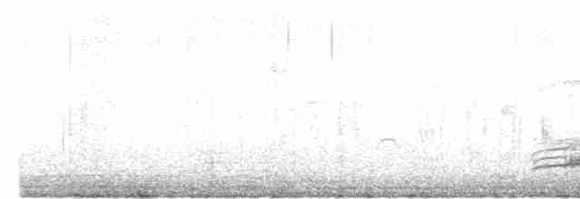 Берберийский кеклик - ML618414365