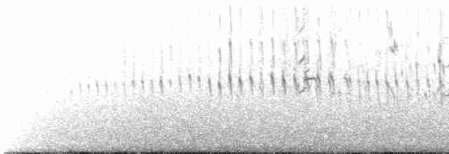シロハラアマツバメ - ML618414421