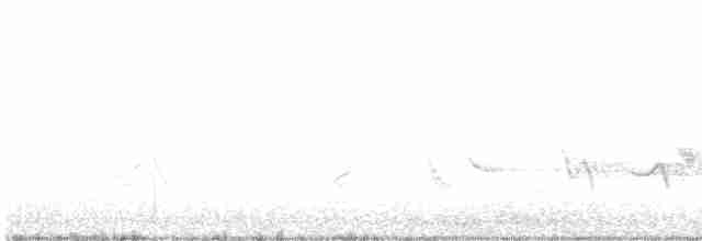 Чернокрылая пиранга - ML618415013