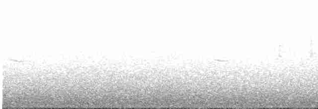 ירגזי שחור (קפריסין) - ML618416003