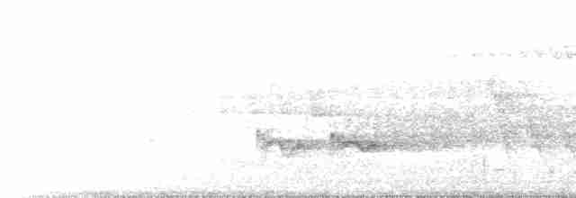 Широкохвістка середземноморська - ML618416177