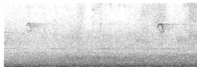 Горихвістка сиза - ML618418018