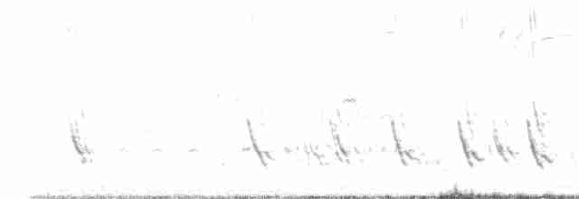 Golondrina Purpúrea - ML618418296