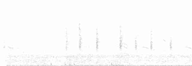 Большая белая цапля (egretta) - ML618418677