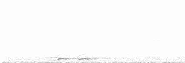 Сова-голконіг плямиста - ML618418893
