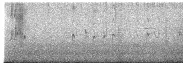 Золотистая сутора - ML618419715