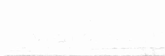 Пестроклювая поганка - ML618419721