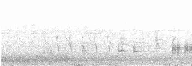 Great Reed Warbler - ML618419824