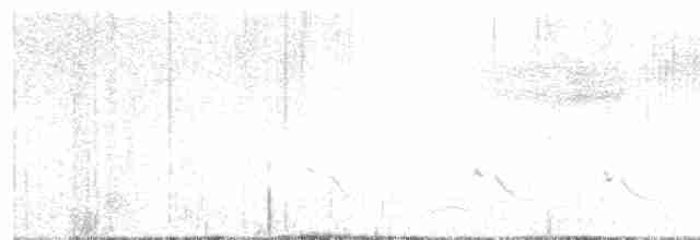 Голубокрылая червеедка - ML618420152