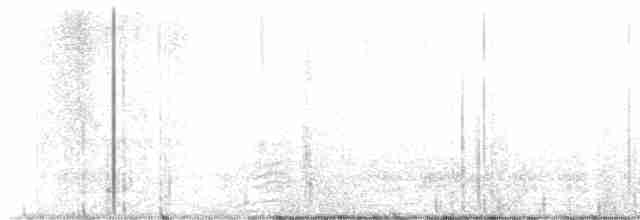 strakapoud proužkohřbetý - ML618420971