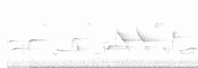 Oriole des vergers - ML618421035