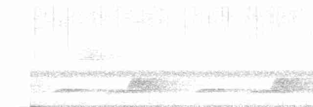 Schwarzkehl-Nachtschwalbe - ML618421628