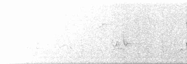 gråskrike (canadensis gr.) - ML618421686