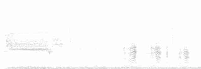 Красноклювая древесная утка (fulgens) - ML618424139