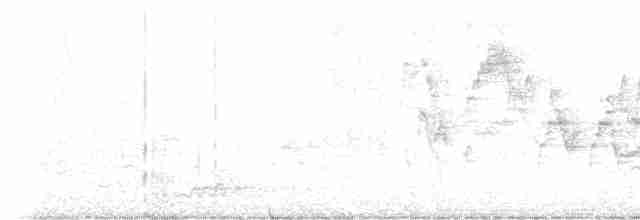 Gri Yanaklı Bülbül Ardıcı - ML618425606