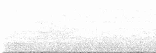 Каролинский крапивник [группа ludovicianus] - ML618425747