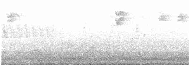 Spotted Flycatcher - ML618429574