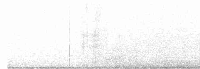 Дрізд-короткодзьоб Cвенсона - ML618430130
