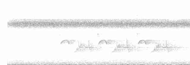 Каролинский крапивник - ML618430529