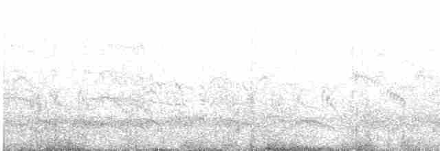 Common Tern - ML618430705