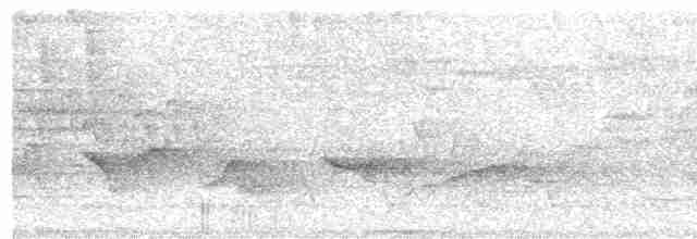 Чернокрылая пиранга - ML618430909