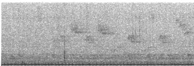 lejsek černohlavý - ML618431484