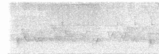 Дрізд-короткодзьоб Cвенсона - ML618431629