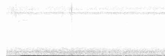 Дрізд-короткодзьоб Cвенсона - ML618432034
