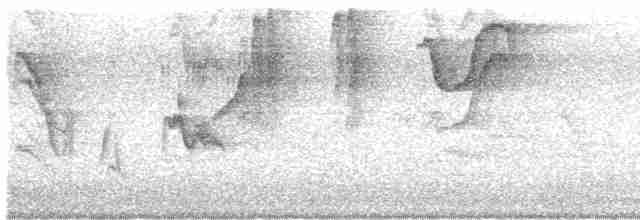 Сорокопутовая мухоловка - ML618432256