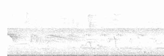 Дрізд-короткодзьоб Cвенсона - ML618432646