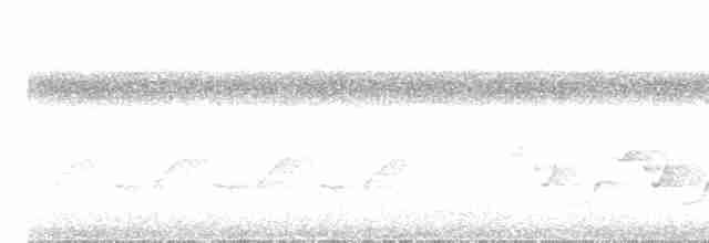 Каролинский крапивник - ML618432863