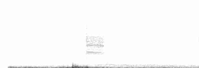 Provencegrasmücke - ML618433155