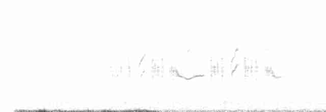 Provencegrasmücke - ML618433156