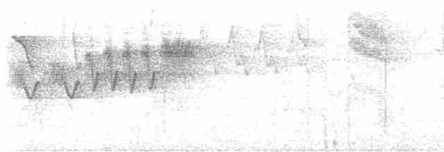 Cerulean Warbler - ML618434130