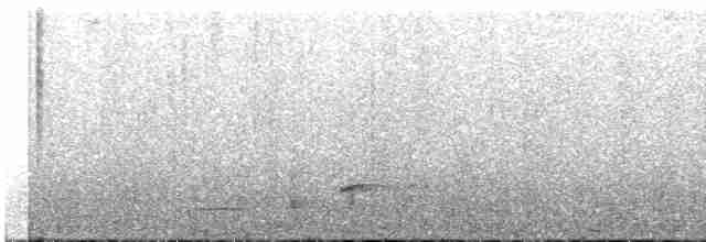 holub šedobřichý - ML618435579