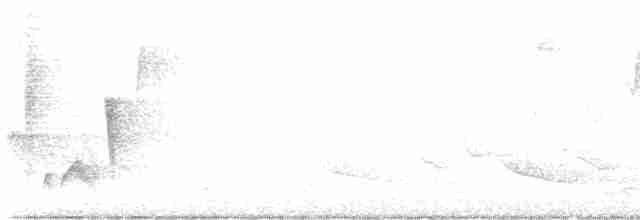Vireo Ojiblanco - ML618437245