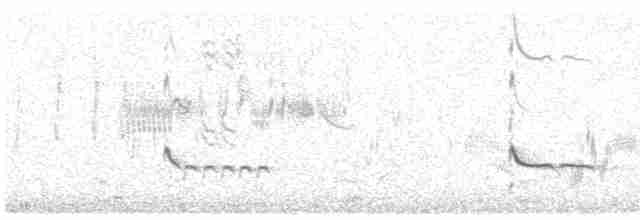 Common Redshank - ML618437280
