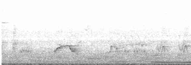 holub bledočelý - ML618437297