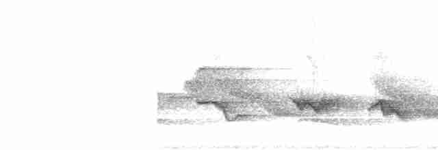 Чернокрылая пиранга - ML618437518