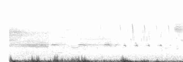 Oriole des vergers - ML618437747