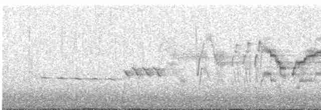 Дрізд-короткодзьоб малий - ML618437753