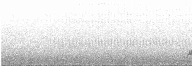Дрізд-короткодзьоб Cвенсона - ML618437817
