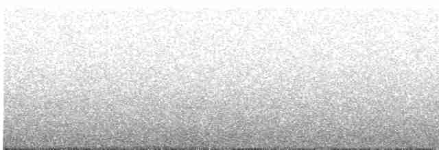 Turuncu Ardıç - ML618439369