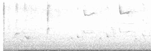 drozdec černohlavý - ML618439521