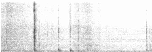 チュウシャクシギ（亜種 アメリカチュウシャクシギ） - ML618439600