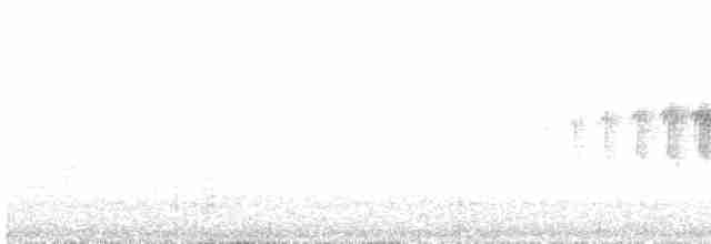 Black-throated Gray Warbler - ML618439968
