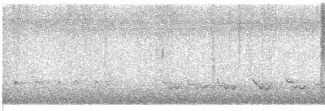 Sinsonte Norteño - ML618440286