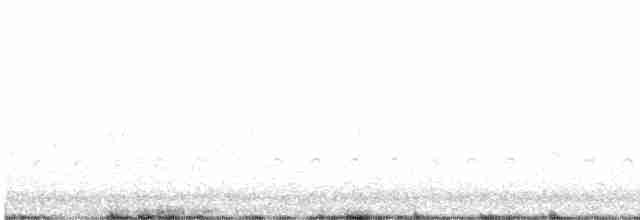 中杓鷸(Hudsonian) - ML618440530