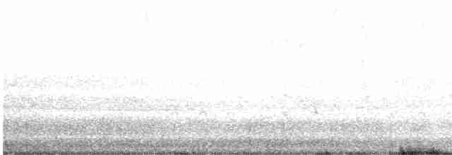 Короткоклювый бекасовидный веретенник - ML618440610