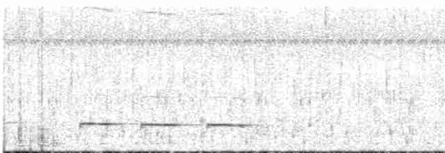 Graubrust-Ameisendrossel - ML618440904
